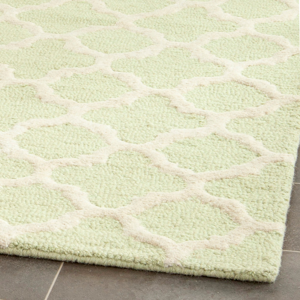 Contemporary Accent Rug, CAM130B, 60 X 91 cm in Light Green / Ivory