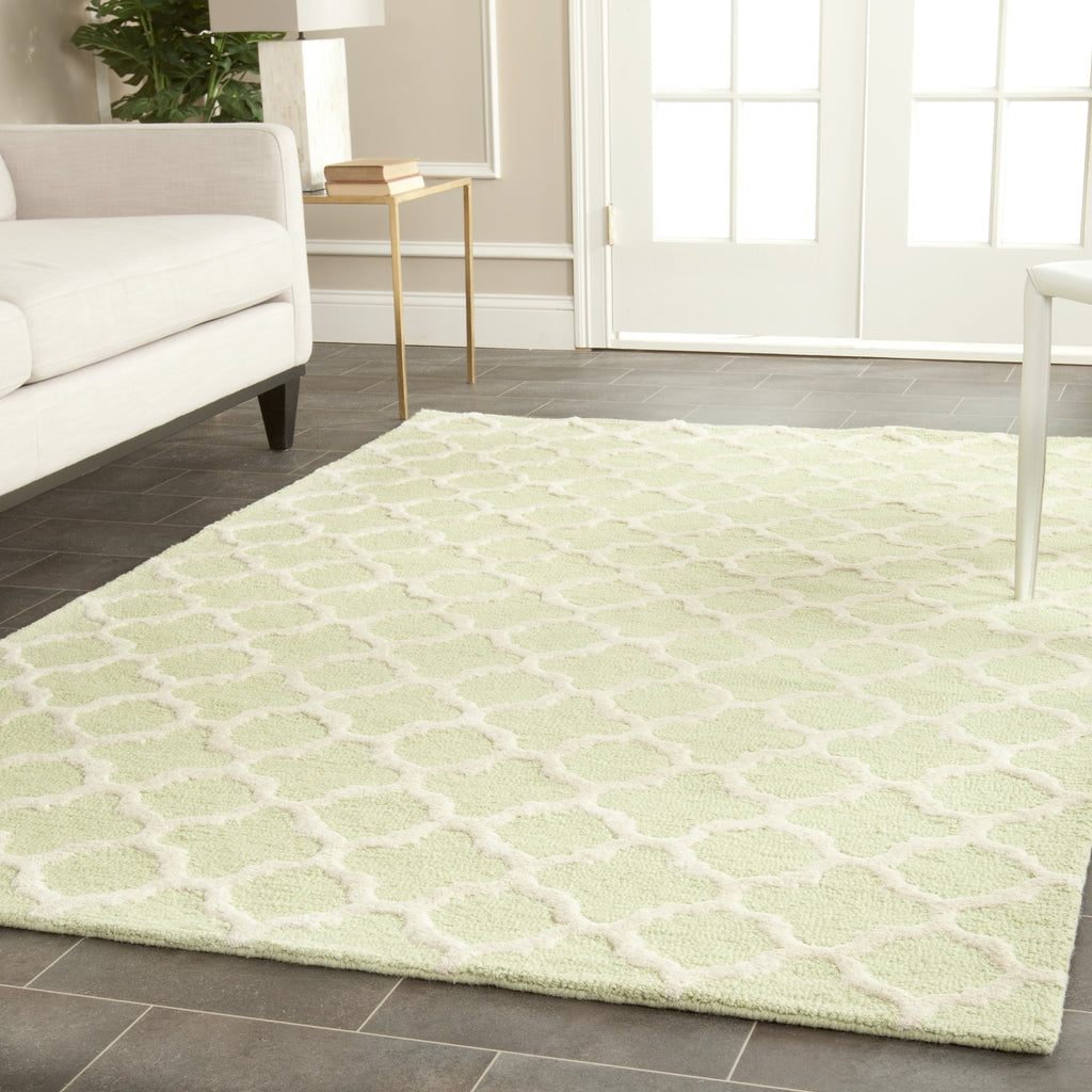 Contemporary Accent Rug, CAM130B, 60 X 91 cm in Light Green / Ivory