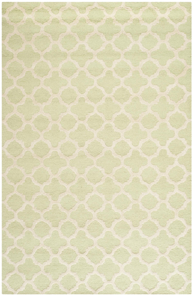 Contemporary Accent Rug, CAM130B, 60 X 91 cm in Light Green / Ivory