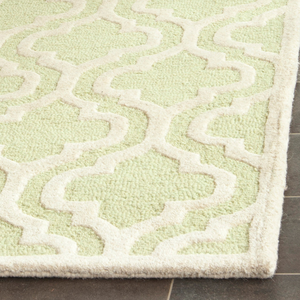 Contemporary Area Rug, CAM132B, 90 X 150 cm in Light Green / Ivory