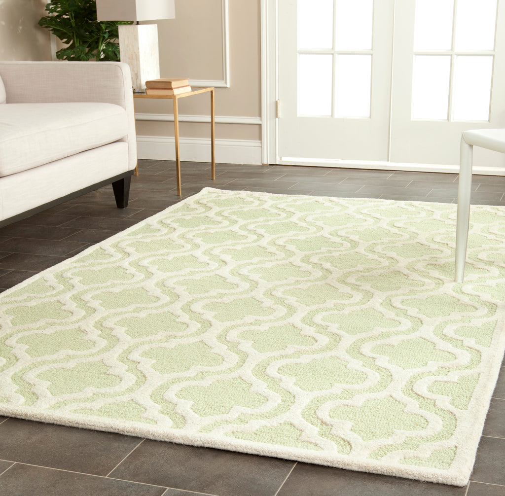 Contemporary Area Rug, CAM132B, 90 X 150 cm in Light Green / Ivory