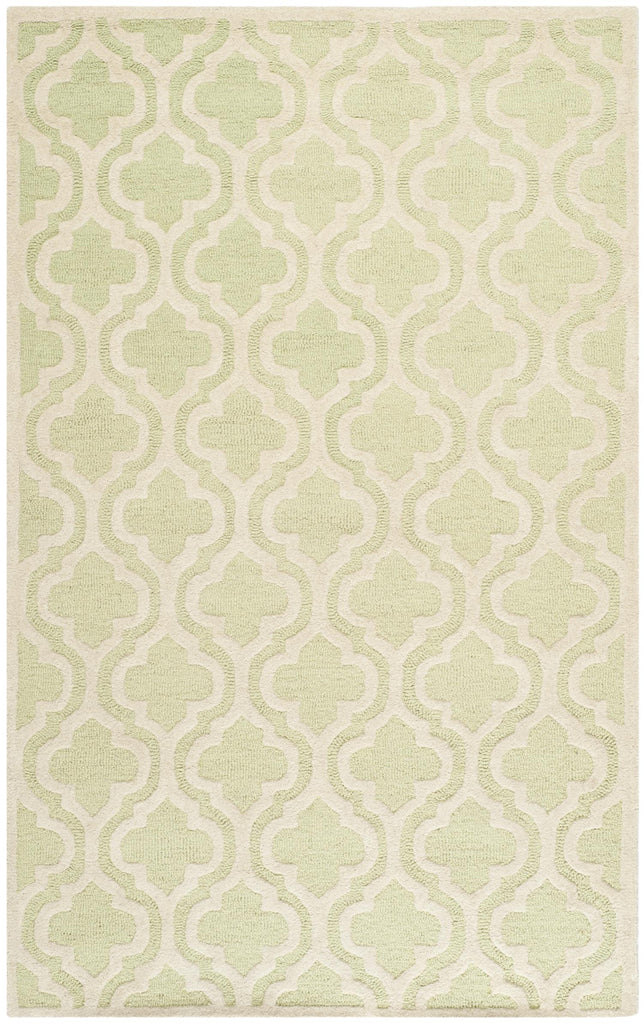 Contemporary Area Rug, CAM132B, 160 X 230 cm in Light Green / Ivory