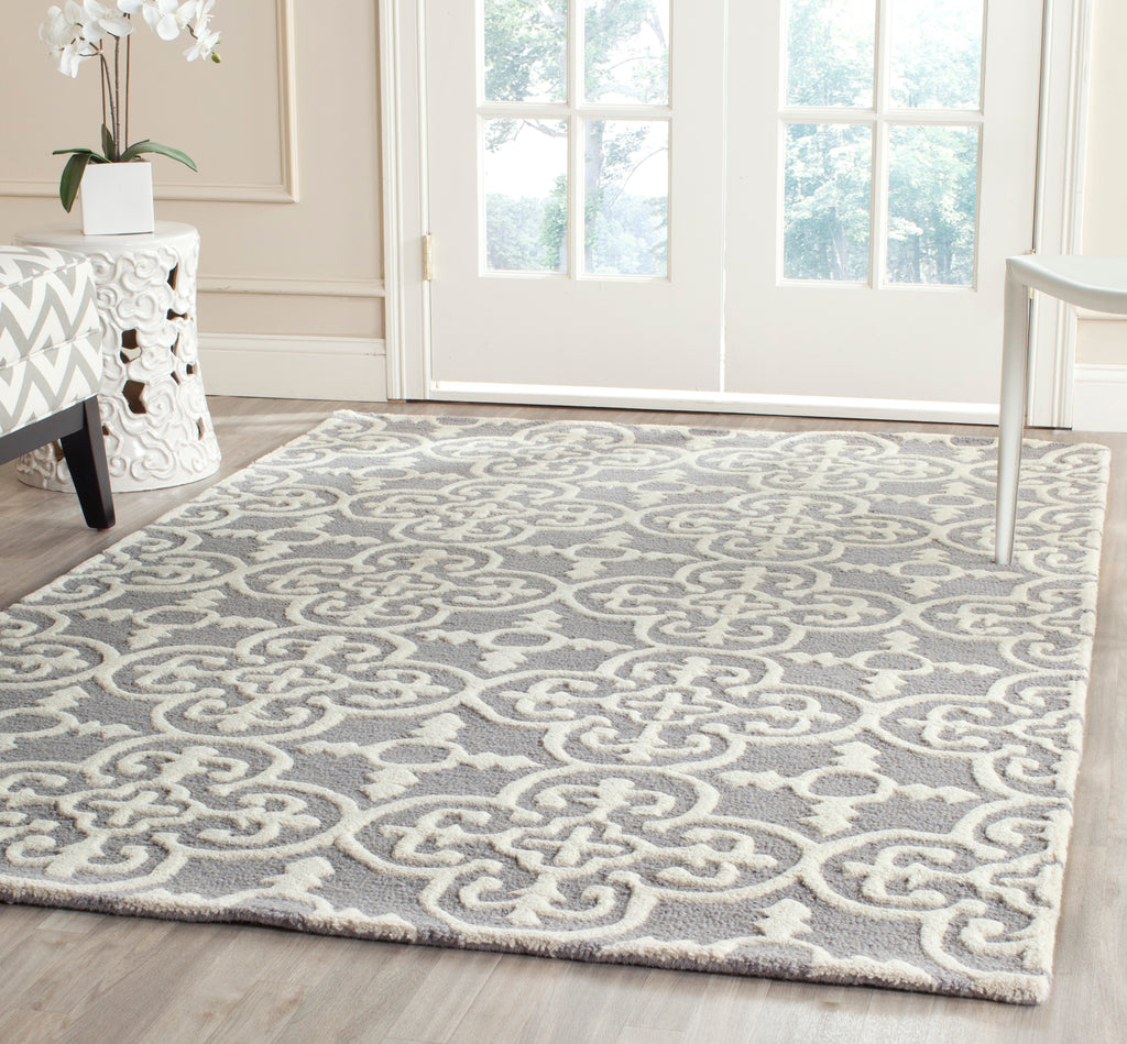 Safavieh Cambridge Rug Collection CAM133D - Silver / Ivory