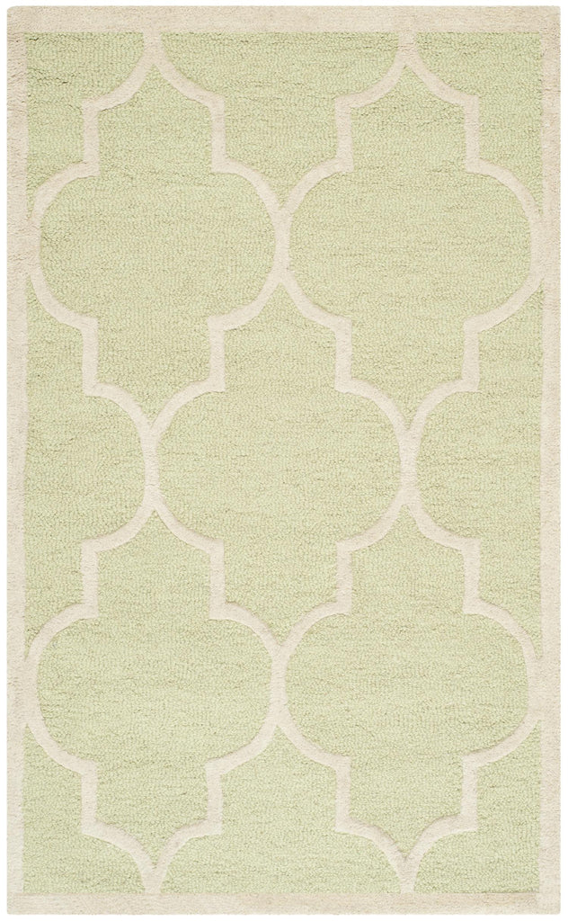 Contemporary Area Rug, CAM134B, 90 X 150 cm in Light Green / Ivory