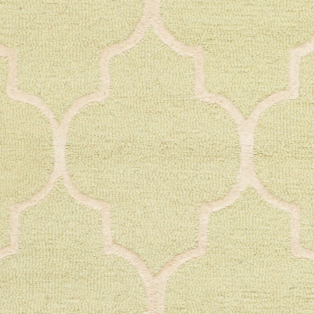 Contemporary Area Rug, CAM134B, 90 X 150 cm in Light Green / Ivory