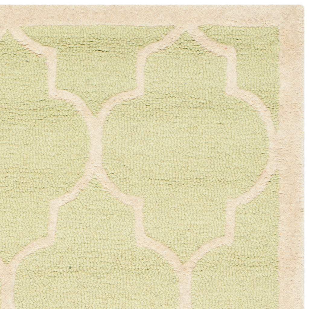 Contemporary Area Rug, CAM134B, 200 X 300 cm in Light Green / Ivory