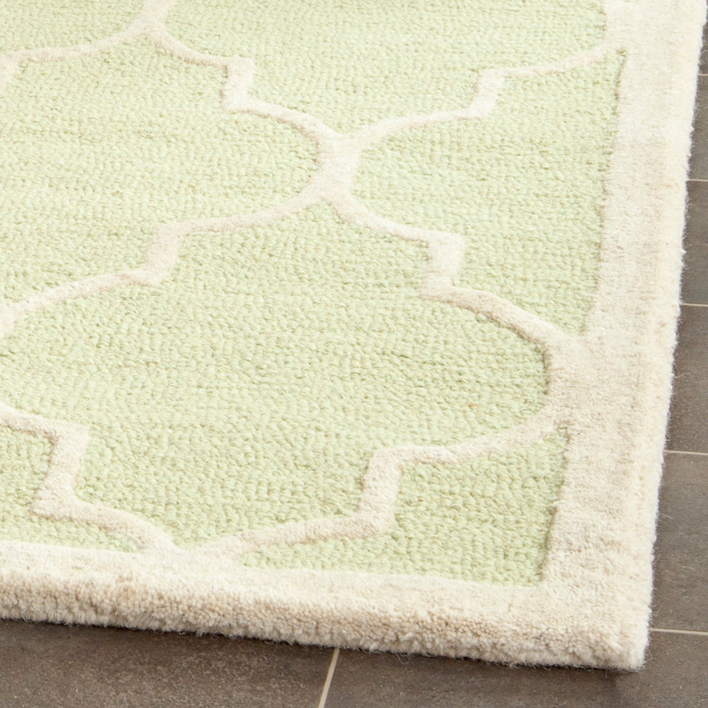 Contemporary Area Rug, CAM134B, 160 X 230 cm in Light Green / Ivory