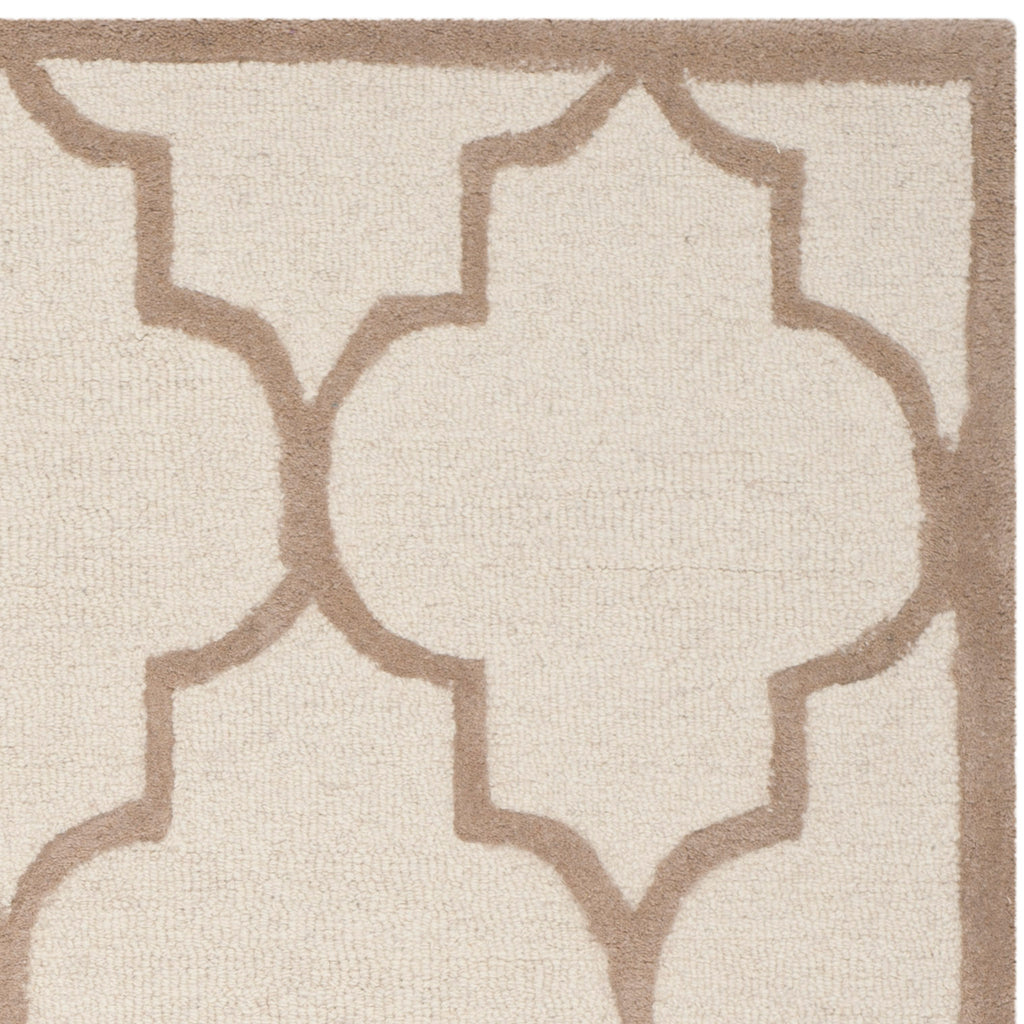 Contemporary Accent Rug, CAM134P, 60 X 91 cm in Ivory / Beige