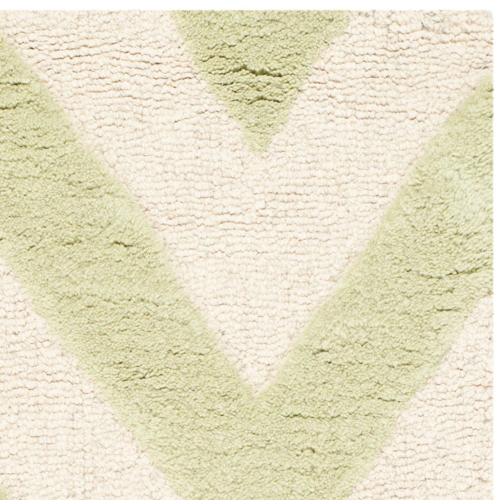 Contemporary Accent Rug, CAM139B, 60 X 91 cm in Light Green / Ivory