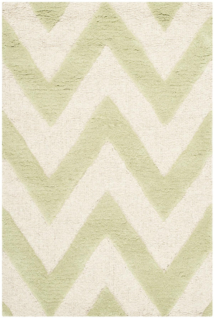 Contemporary Accent Rug, CAM139B, 60 X 91 cm in Light Green / Ivory