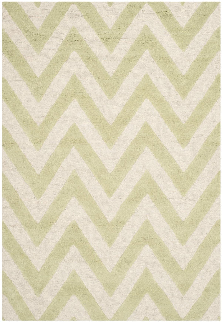 Contemporary Area Rug, CAM139B, 120 X 180 cm in Light Green / Ivory