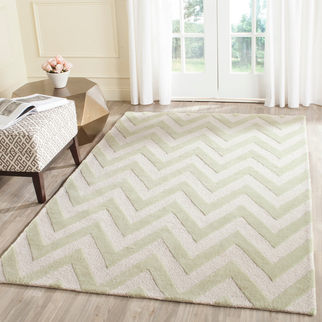 Contemporary Area Rug, CAM139B, 200 X 300 cm in Light Green / Ivory