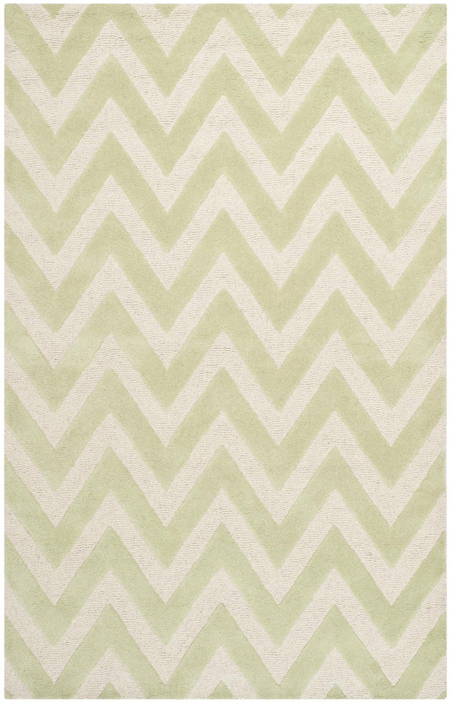 Contemporary Area Rug, CAM139B, 160 X 230 cm in Light Green / Ivory