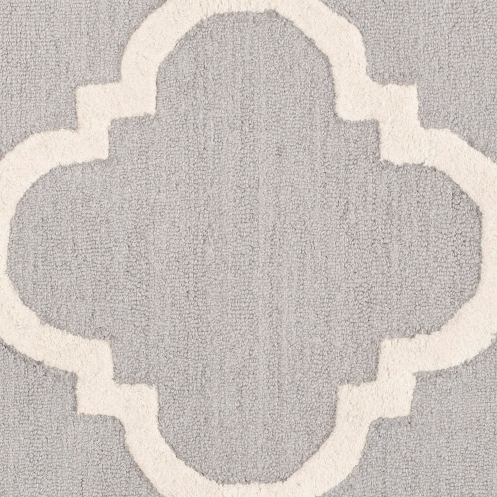 Contemporary Area Rug, CAM140D, 200 X 300 cm in Silver / Ivory