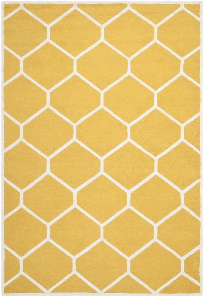 Contemporary Area Rug, CAM144