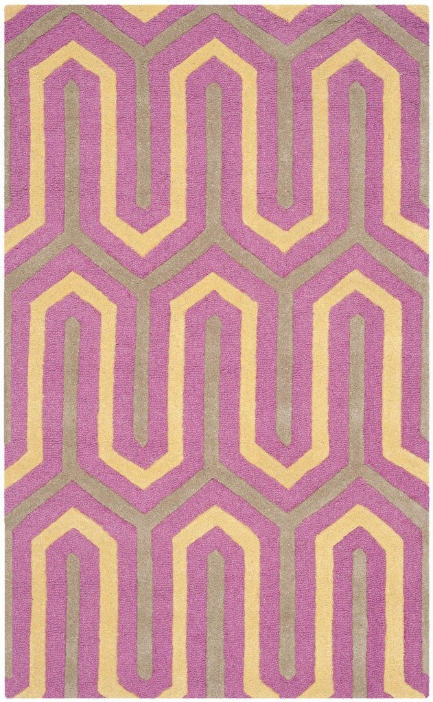 Contemporary Area Rug, CAM351F, 90 X 150 cm in Fuchsia / Grey