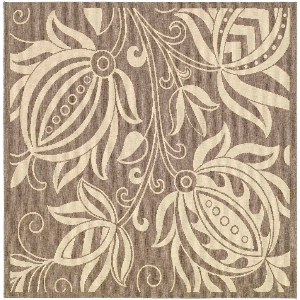 Safavieh Courtyard Rug Collection: CY2961-3009 - Brown / Natural