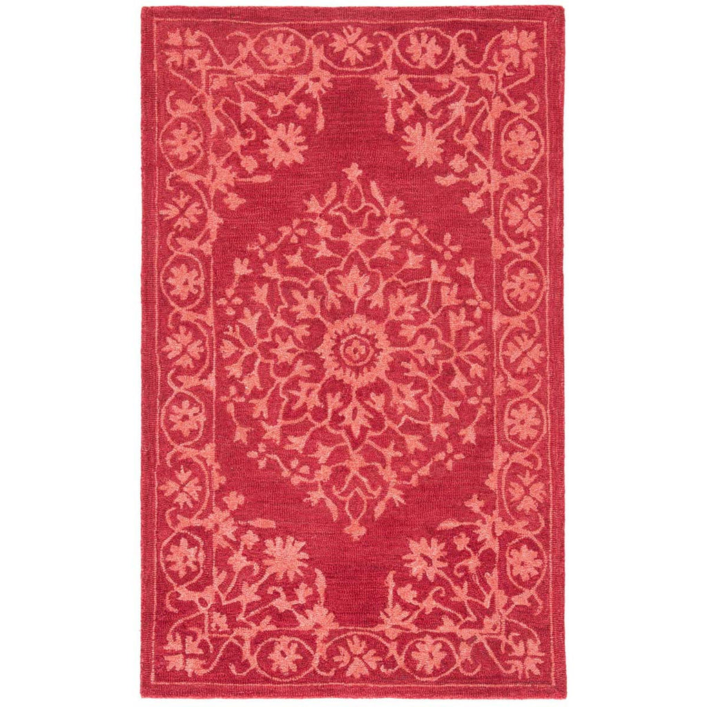 Safavieh Dip Dye Rug Collection DDY702Q - Red