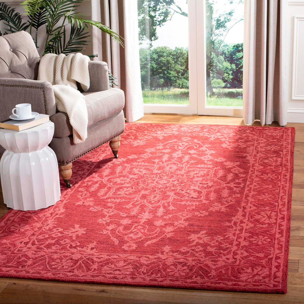 Safavieh Dip Dye Rug Collection DDY702Q - Red