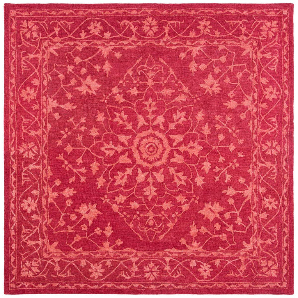 Safavieh Dip Dye Rug Collection DDY702Q - Red