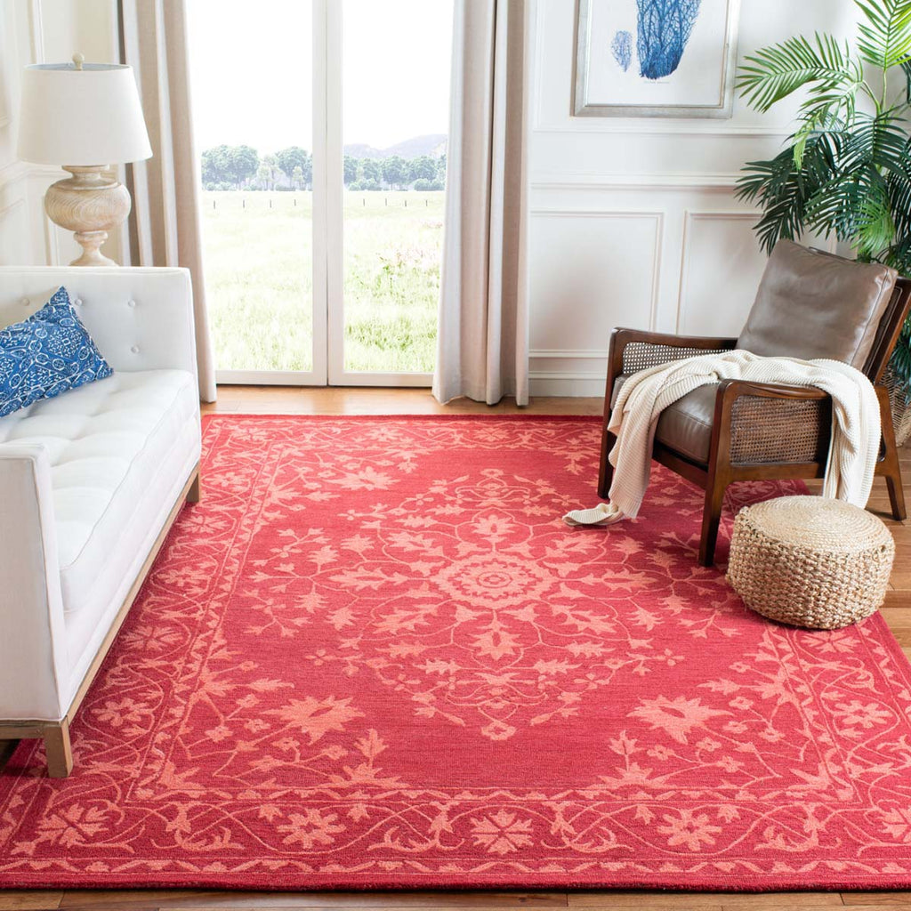 Safavieh Dip Dye Rug Collection DDY702Q - Red