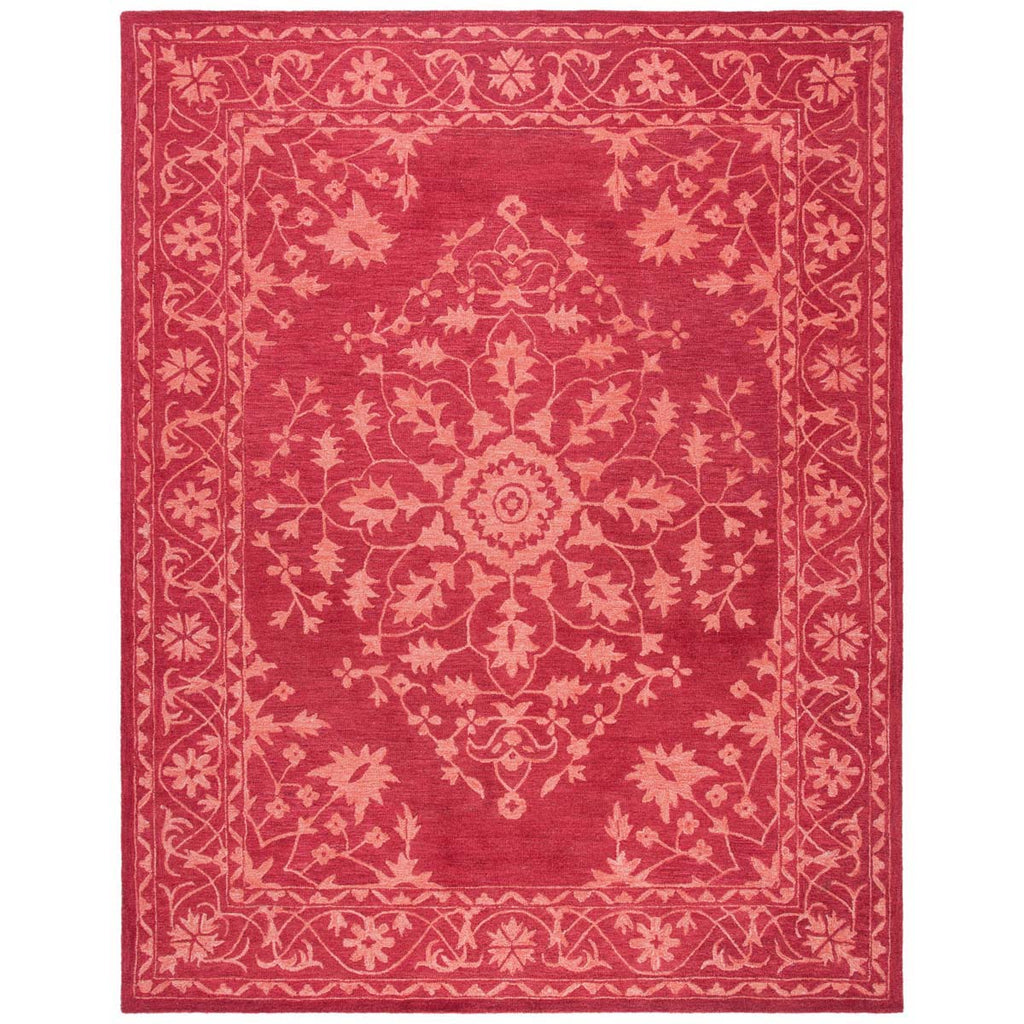 Safavieh Dip Dye Rug Collection DDY702Q - Red