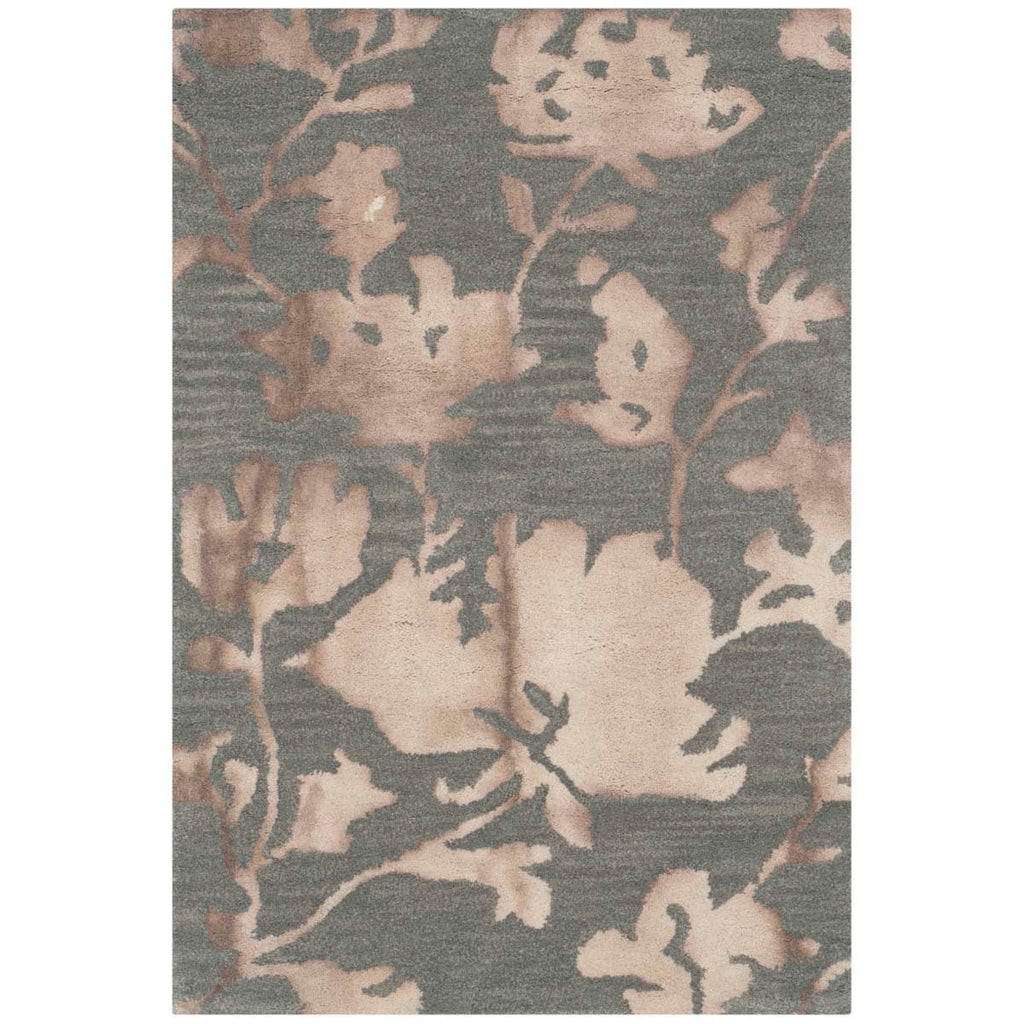 Safavieh Dip Dye Rug Collection DDY716K - Grey / Beige