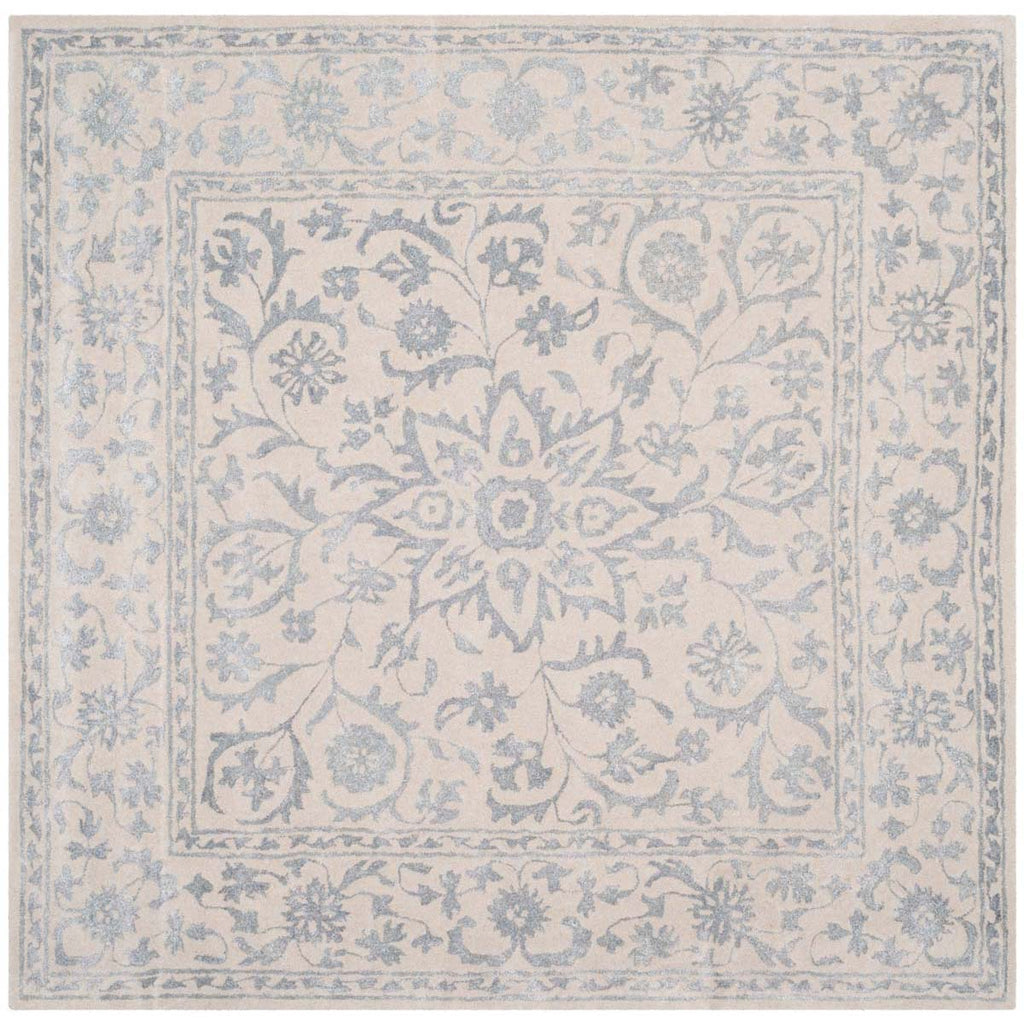 Safavieh Glamour Rug Collection GLM515A - Silver / Ivory