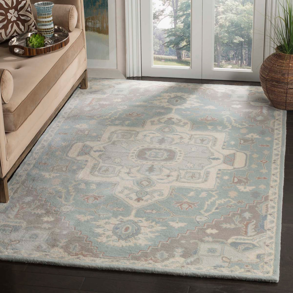 Safavieh Heritage Rug Collection HG823A - Blue / Ivory