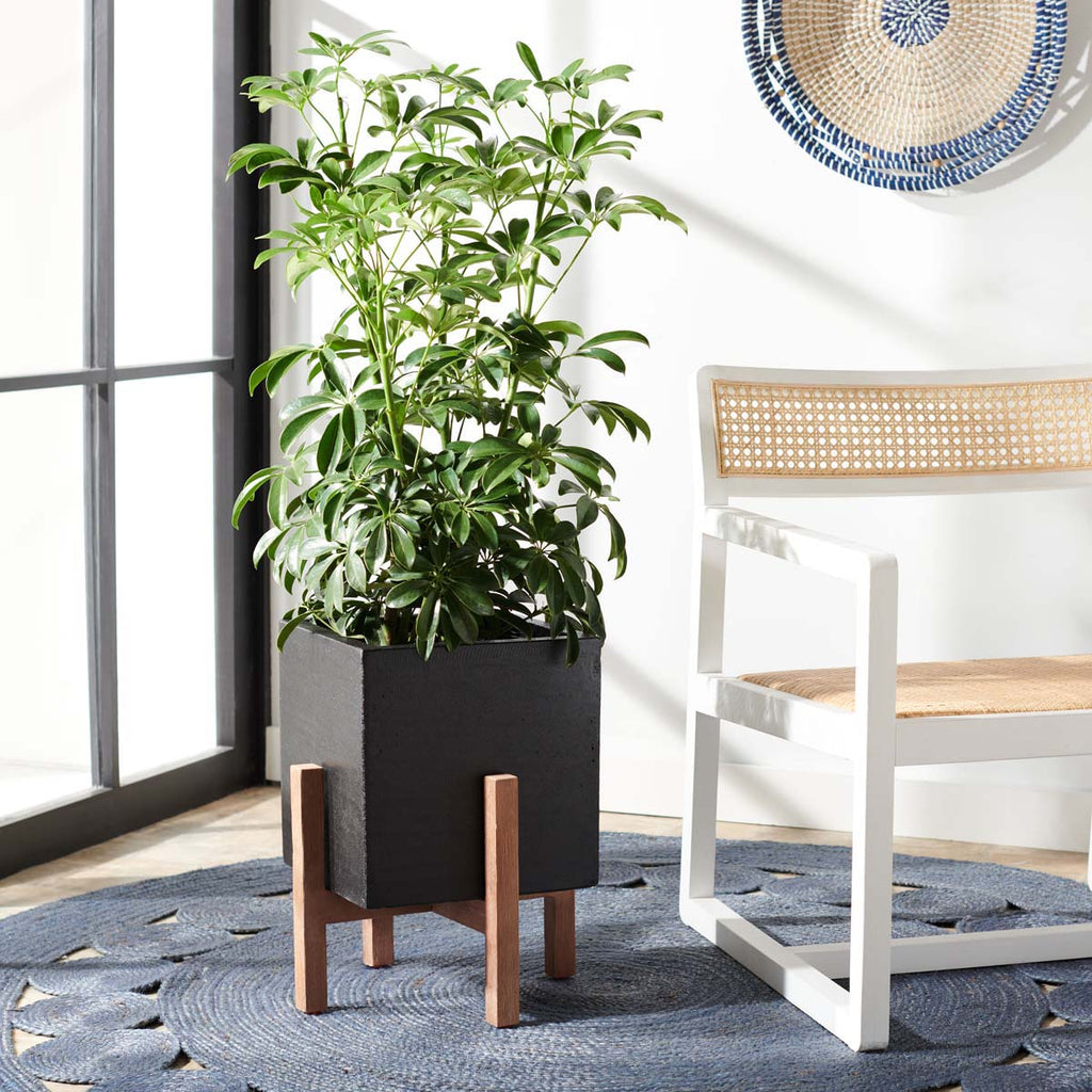 Safavieh Borsla Planter-Natural/Black