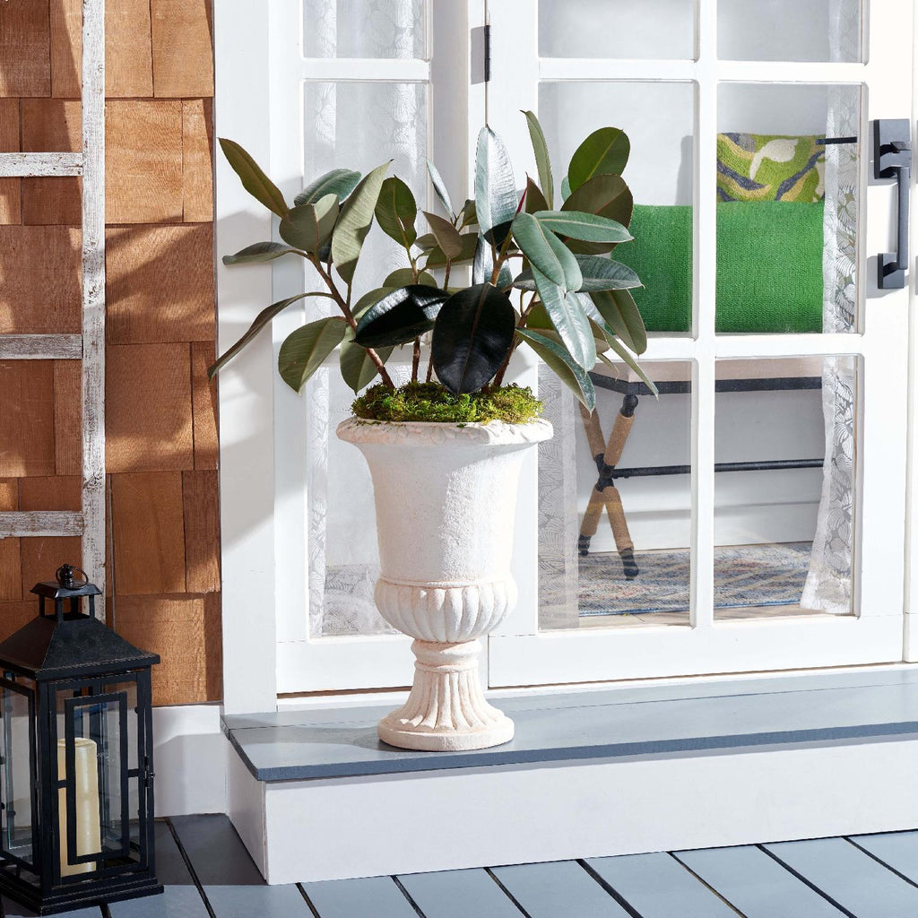 Paul Planter | Safavieh - PAT5037 - Off White