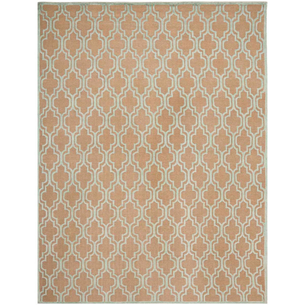 Safavieh Tibetan Rug Collection TB654A - Bark / Light Blue