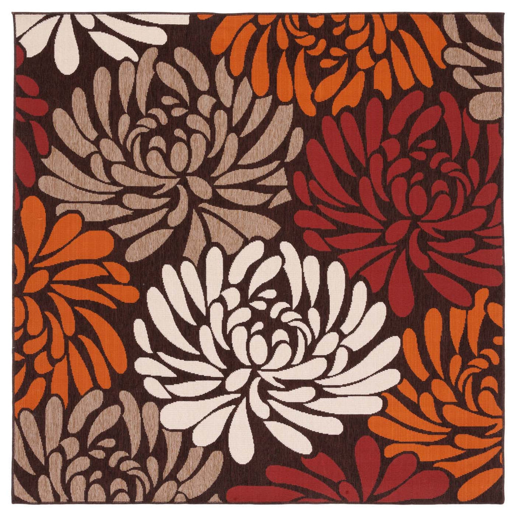 Safavieh Veranda Rug Collection: VER049-0325 - Chocolate / Terracotta