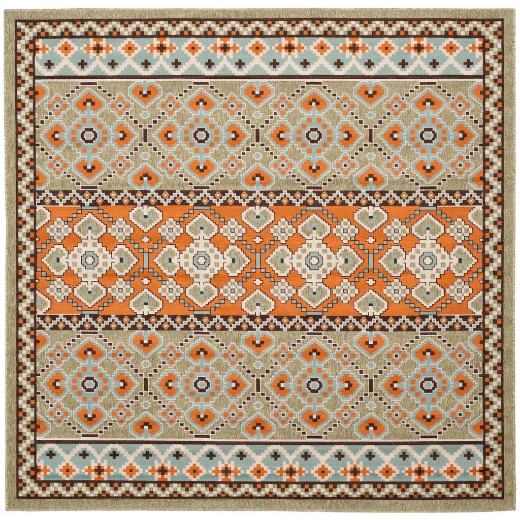 Safavieh Veranda 093 Rug, VER093