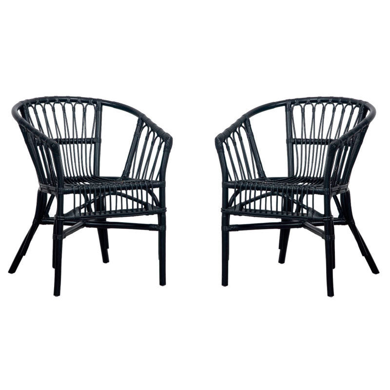 Safavieh Adriana Rattan Accent Chair-Black (Set of 2)