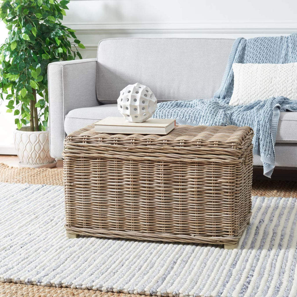 Safavieh Mikasi Wicker Trunk - Grey